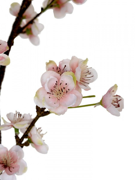 31492_A0023-PINK_4