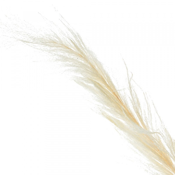 4074_e58f99d2320bb6a330f52798c18a4340