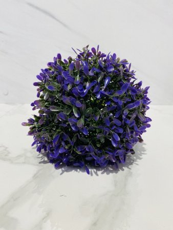 IMG_4455 (3)