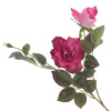 50569_bd75ac788a1e1e28f969f83fbcb193bb