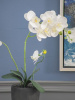 19865_F48339-WHIT_13