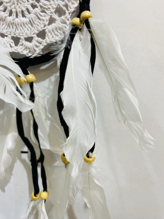IMG_3337 (2)
