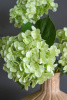 7138_A0015-GREE_7