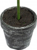 26939_29574-BLAC_2
