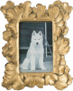 10357_HP76278-GOLD