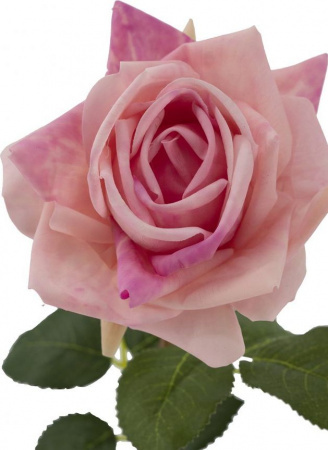 31325_A0005-PINK_7