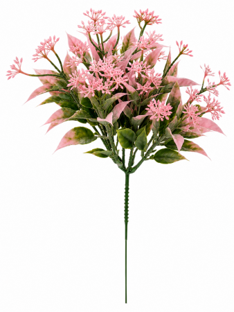 ChatGPT Image 30 июл. 2026 г., 23_50_42
