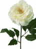 7124_A0008-CREA_6