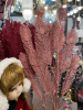 IMG_2398 (1)