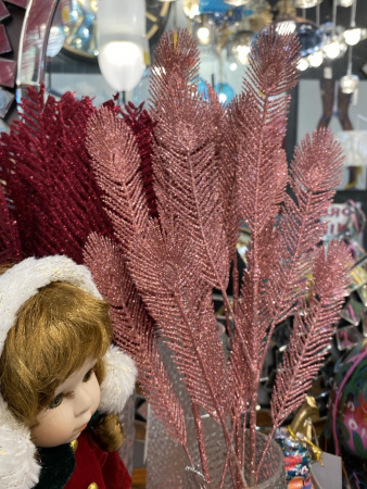 IMG_2398 (1)
