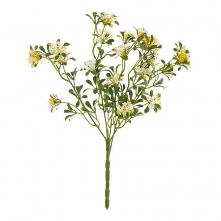 50616_be4524543ec43622b8539b1911ea94c9