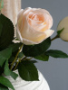 18247_A0001-BLUS_3