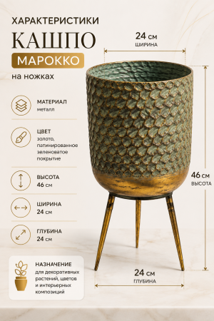 ChatGPT Image 1 сент. 2026 г., 01_33_15