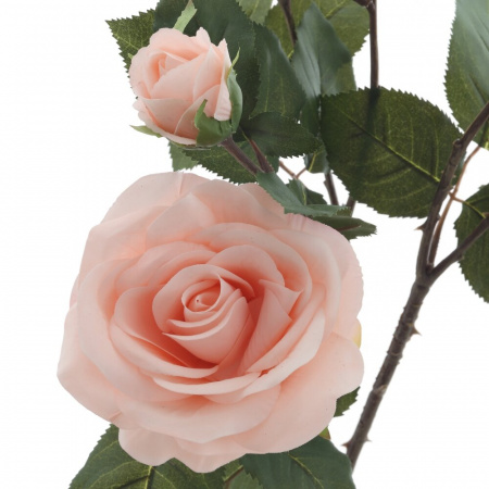 45590_4227e64ae3da16eeacb1dfecf63b4d16