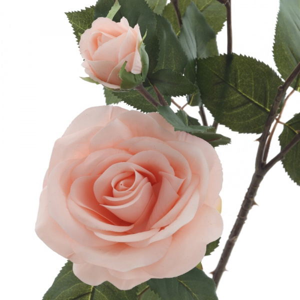 45590_4227e64ae3da16eeacb1dfecf63b4d16