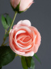 8302_A0001-PINK_3