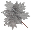 13551_70a9a02c979e9b67f62d76c2e162d1a7