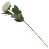 16529_4ee3f8b3ff7f7e61ba492d813c403028