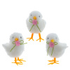 15461_2e17dd35c596da8c95550adfb14a858f