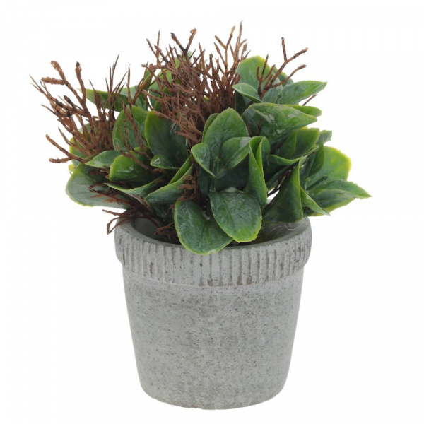 28023_909a21577d89f623f37b46079932f433