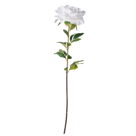 10335_F4685-WHIT
