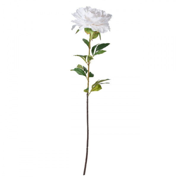 10335_F4685-WHIT