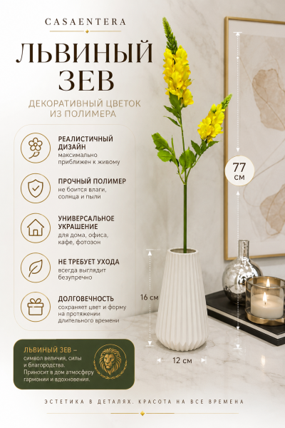 ChatGPT Image 4 июн. 2026 г., 00_08_52