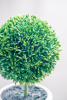 16941_29570-CREA_6