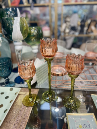 TULIP orange_8