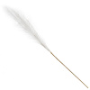 47038_45ded0462cff1a4118340c203060dcad