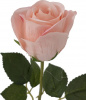 31311_A0001-PINK_6
