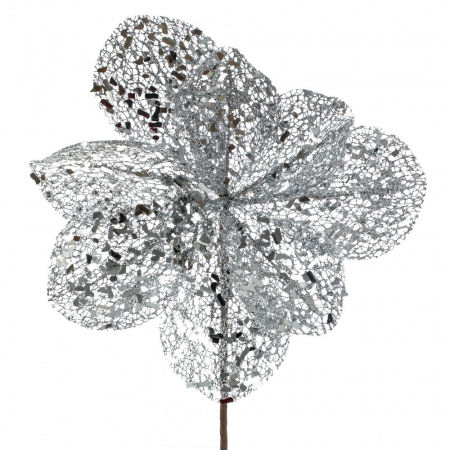 26708_a7836bde5fd66da1040d0ed38dee5329