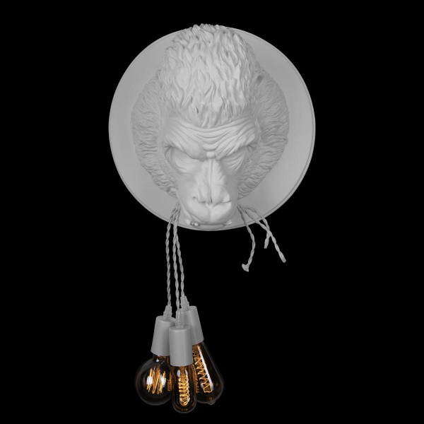 10178 White_4