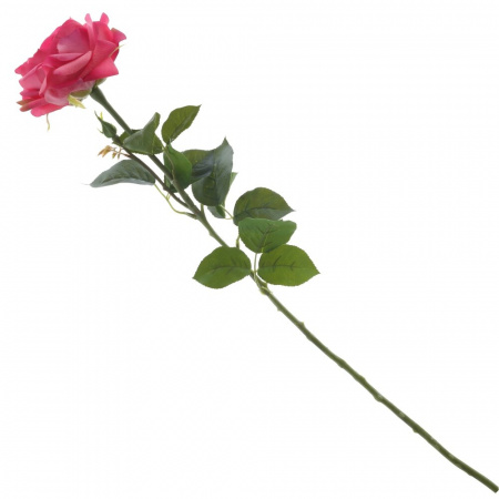 45646_d45f4b1bfe487699aa232ecf428df1c1