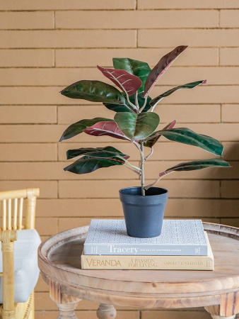 19909_SA11655_8