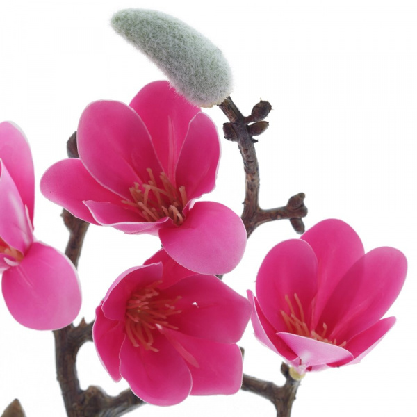 31453_bbfe7b3653acc51db99f2edee6aa8c07