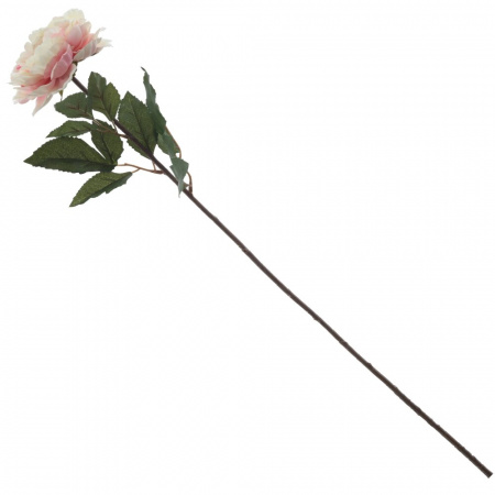 45624_dccf270c35d07d0aac346f19236b75da