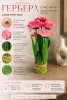 ChatGPT Image 4 июн. 2026 г., 00_59_43
