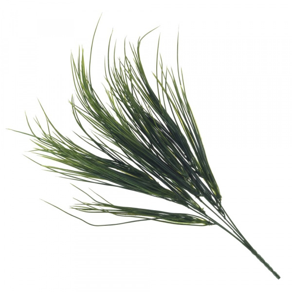 43538_5e321ead8ff6bb67e6c2e86986a32558