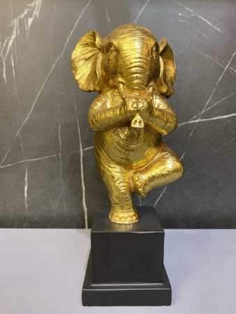 IMG_2373