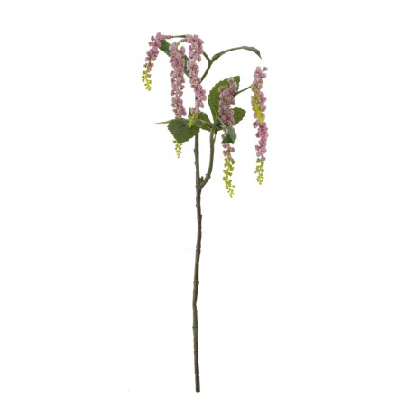 33043_d24bec728e6606e21d322a90adbee005