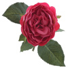 45583_b2e9ec1fe4baf2bd481ebc94f848c9d2