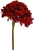 28445_58148-RED