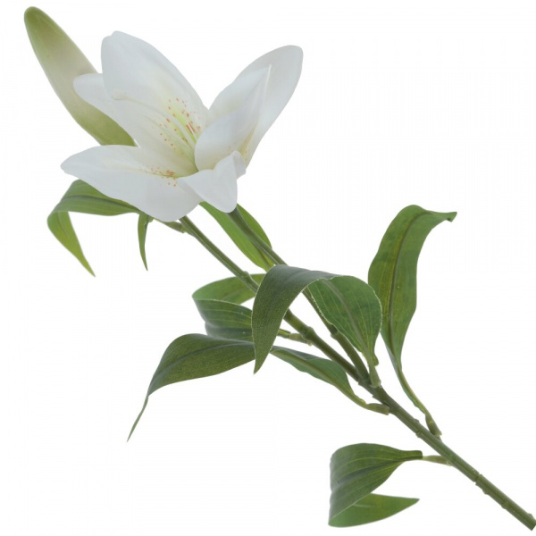 16345_384476926db9dcc83de2ab9ab3c532f9