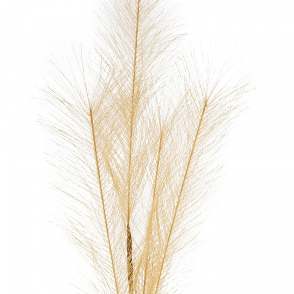 47045_ad89cf71fdf8b7b2634df212c4e004ff
