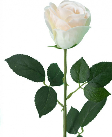 18249_A0001-BLUS_5