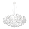 10231 780 White_1