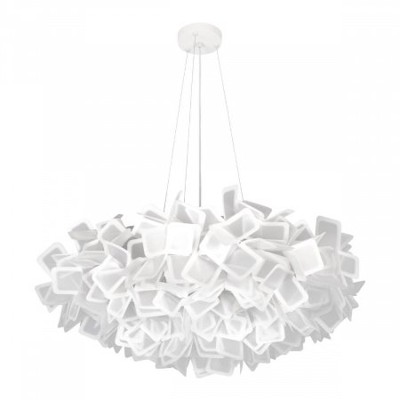 10231 780 White_1