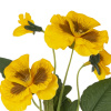 32646_dee6cf1b5c1ed93d67898f14000f8696