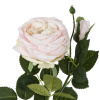 31890_e663b8f11aef010fa85570f330b7a7f8
